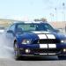 2010shelbygt500fdp2_01_thumbnail.jpg