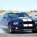 2010shelbygt500fdp2_02_thumbnail.jpg