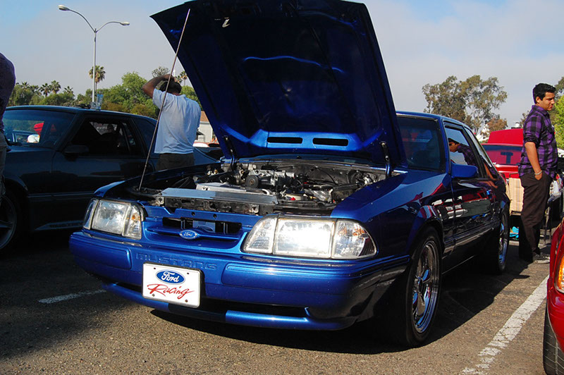 DSC_1487.jpg