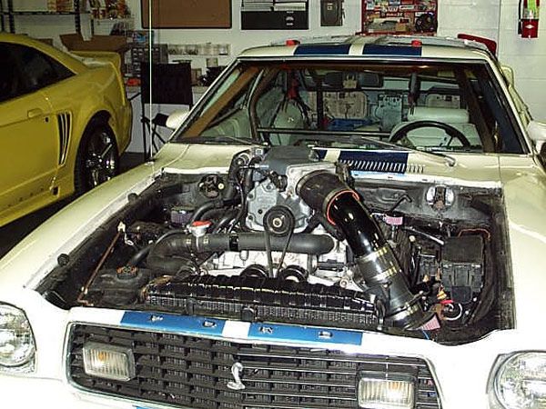 stang2_zpsa8eb1275.jpg
