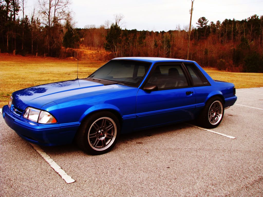 WindowTint_zps2dcec055.jpg