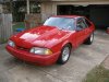 Mustang 1.jpg