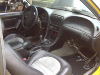 newcar09335.jpg