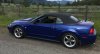 2020 bluegreen horse.jpg