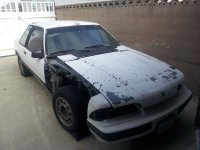 20120621_173923.jpg