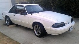 mustang.jpg
