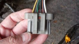 2013-01-09_16-22-47_192.jpg