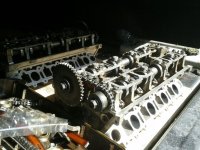 96cobraheads.jpg