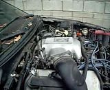 th_DSCN1974.jpg