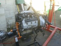 96cobramotorout.jpg