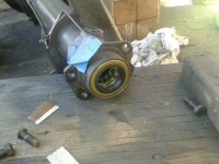 Newsealsandbearings_zpsb8206d7e.jpg