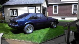 bluestang_zpsc45c0672.jpg bluestang_zpsc45c0672.jpg