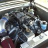 65wildstang
