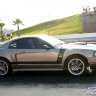 sweetstang